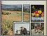 [thumbnail of Annual Report_QDPI_1979-1980.pdf]
