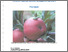 [thumbnail of Pomefruit pesticide reduction strategies_AA0033_2002_dullahide.pdf]
