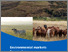 [thumbnail of Environmental-markets-for-graziers-report_1762211944.pdf]