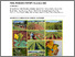 [thumbnail of 2018-22 DAF Pigeonpea Initiative Final Report.pdf]