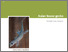 [thumbnail of asian-house-gecko-risk-assessment.pdf]