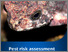 [thumbnail of asian-spined-toad-risk-assessment.pdf]