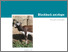 [thumbnail of blackbuck-antelope-risk-assessment.pdf]