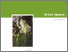 [thumbnail of green-iguana-risk-assessment.pdf]
