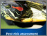 [thumbnail of red-eared-slider-turtle-risk-assessment.pdf]