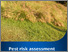 [thumbnail of african-fountain-grass-risk-assessment.pdf]