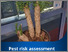 [thumbnail of austrocylindropuntia-risk-assessment.pdf]
