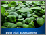 [thumbnail of amazon-frogbit-risk-assessment.pdf]
