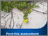 [thumbnail of bitou-bush-risk-assessment.pdf]