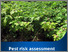 [thumbnail of glory-bower-risk-assessment.pdf]