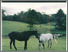 [thumbnail of Vol_107NS_No_3.pdf]