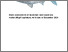 [thumbnail of 2026_sea_mullet_stock_assessment.pdf]