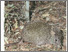 [thumbnail of Vol_108NS_No_1.pdf]