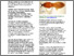 [thumbnail of Describes subterranean termites in Queensland]