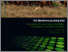 [thumbnail of The-Wambiana-grazing-trial-key-learnings-November-2011.pdf]